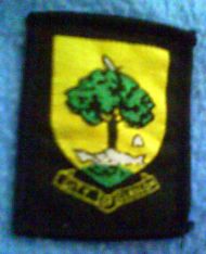 Glasgow District Scout Badge